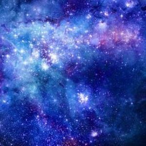 Meet your Posher, Arie